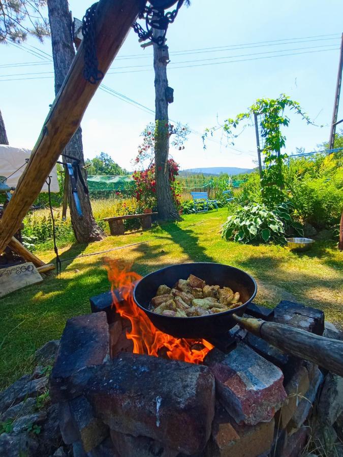 Dom Na Przedgorzu-Apartamenty Z Widokiem Na Gory Świeradów-Zdrój Екстериор снимка
